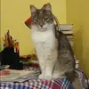 Отзыв от Нелли Сафонова